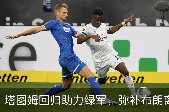 塔图姆回归助力绿军，弥补布朗离队的空缺