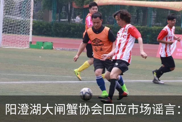 阳澄湖大闸蟹协会回应市场谣言：供需稳定无崩盘现象